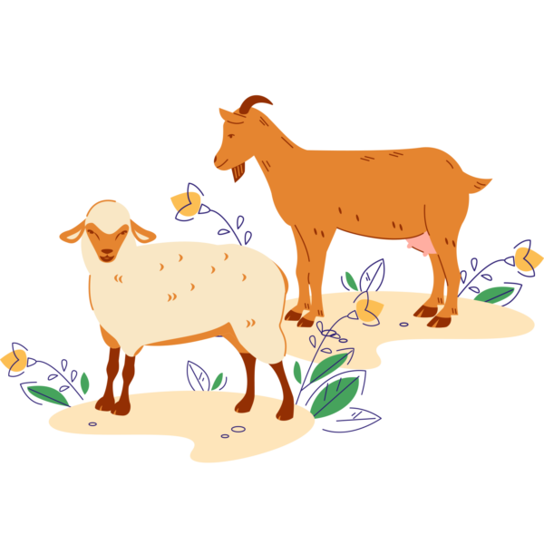 Ilustracija_KGZ_D-Loka_ovca-koza Ilustracija_KGZ_D-Loka_ovca-koza